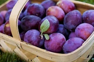 Вкусные способы заготовки сливы. Рецепты для экономных