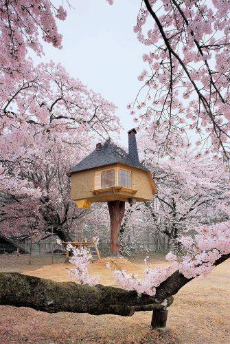 b2ap3_thumbnail_amazing-treehouses-16.jpg