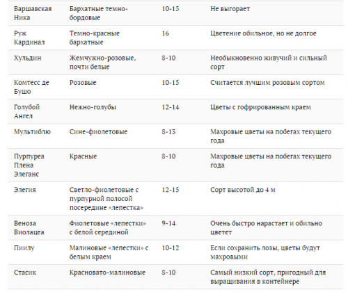 продолжение таблицы сортов клематиса